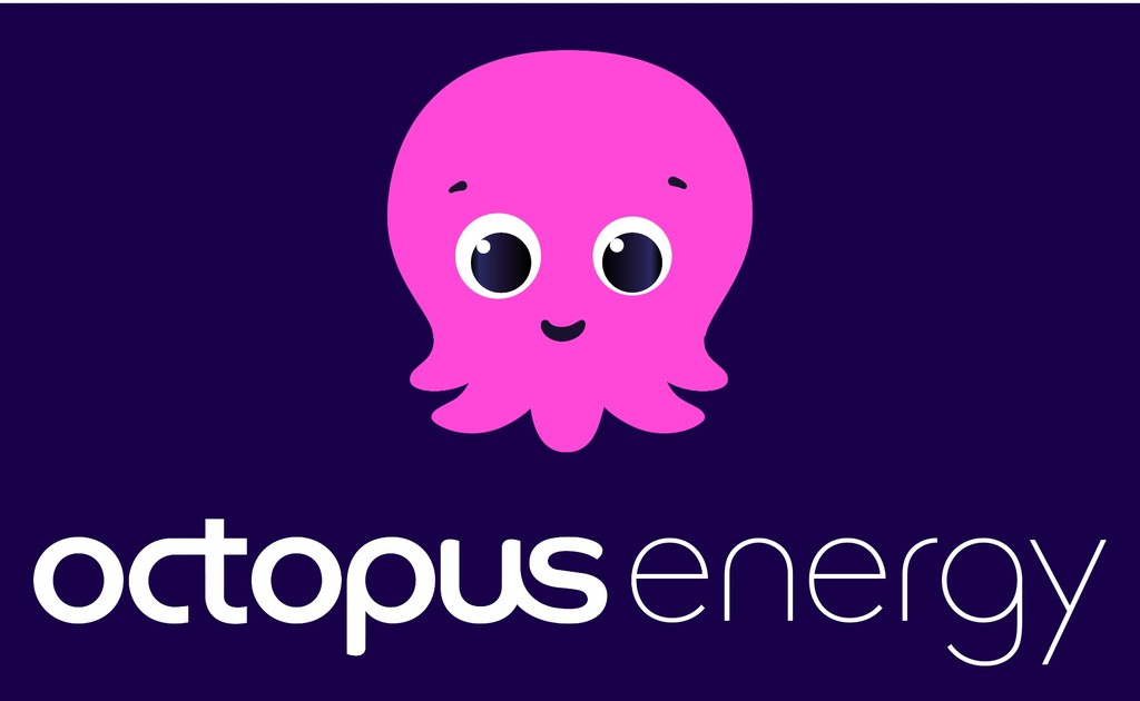 Passaggio a Octopus Energy: come funziona, quanto si risparmia e come ottenere 30€ di bonus
